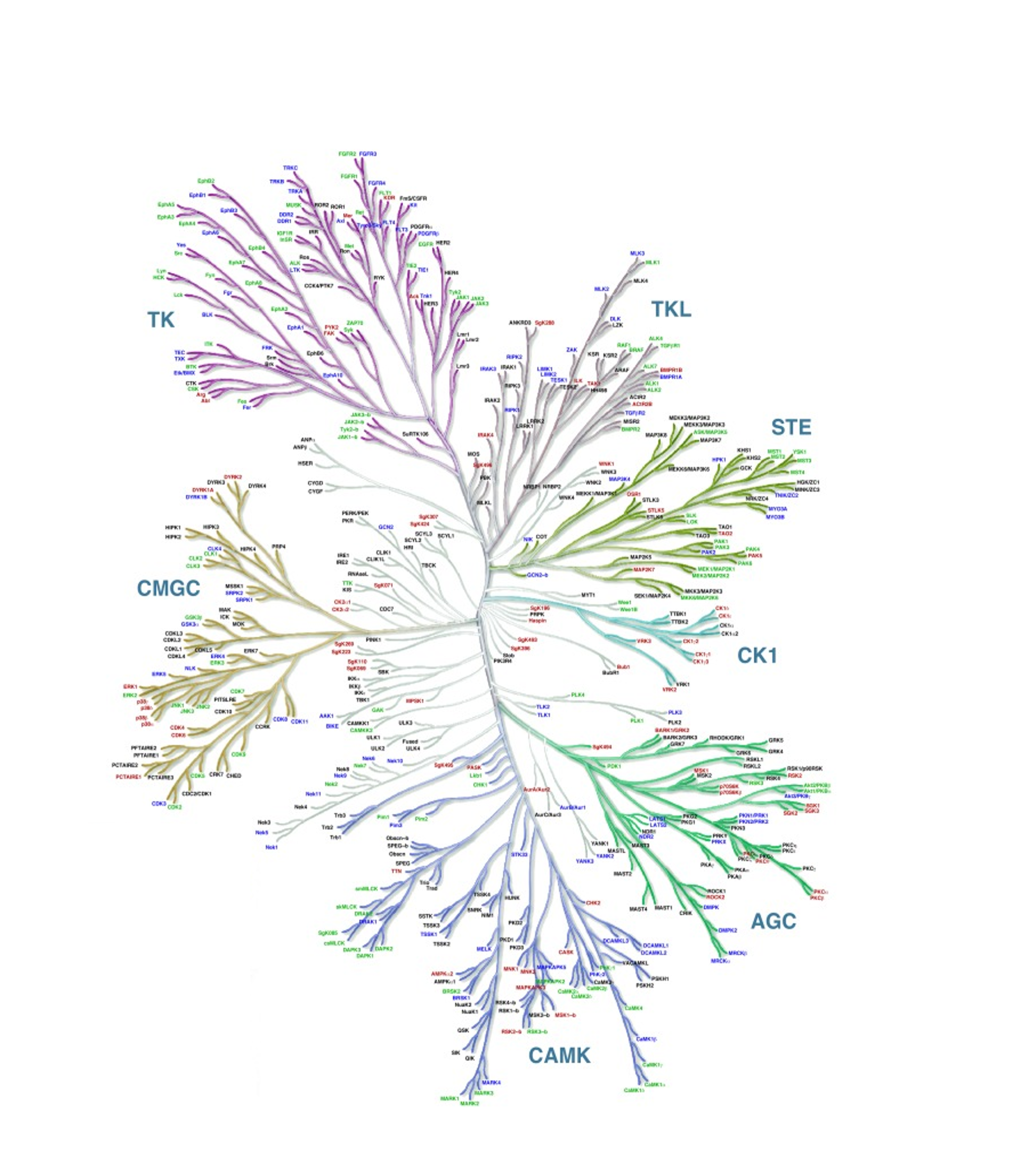 Casinvent our science